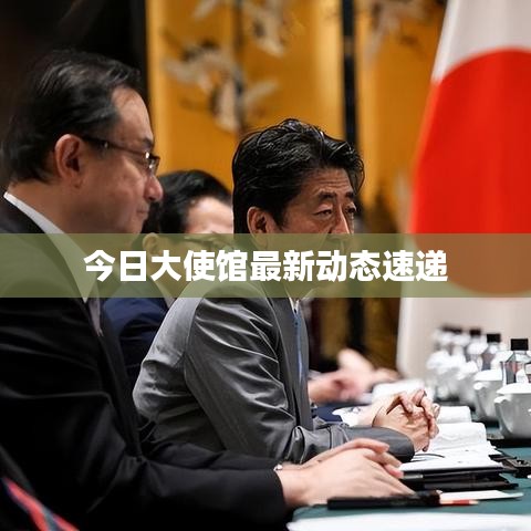 今日大使館最新動態速遞