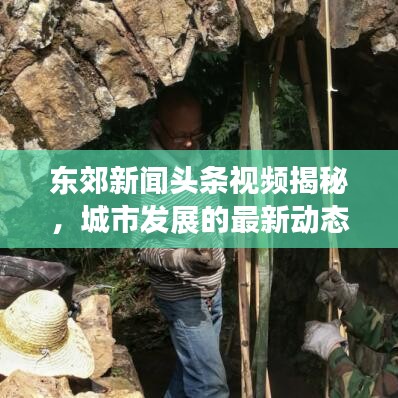 東郊新聞頭條視頻揭秘,城市發展的最新動態速遞
