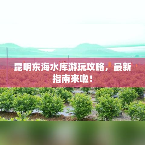 昆明東海水庫游玩攻略，最新指南來啦！