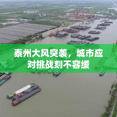 泰州大風(fēng)突襲,城市應(yīng)對挑戰(zhàn)刻不容緩