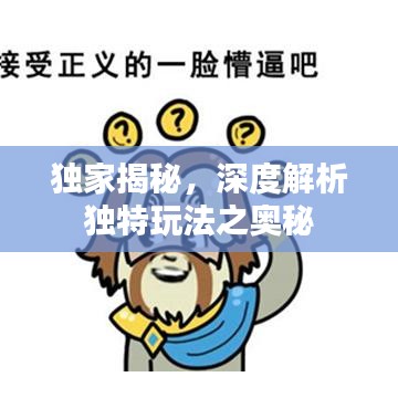 獨家揭秘,深度解析獨特玩法之奧秘