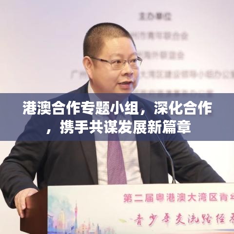港澳合作專題小組,深化合作,攜手共謀發(fā)展新篇章