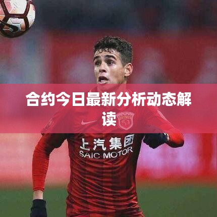 合約今日最新分析動態解讀